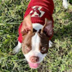 Meet your Posher, Reiko